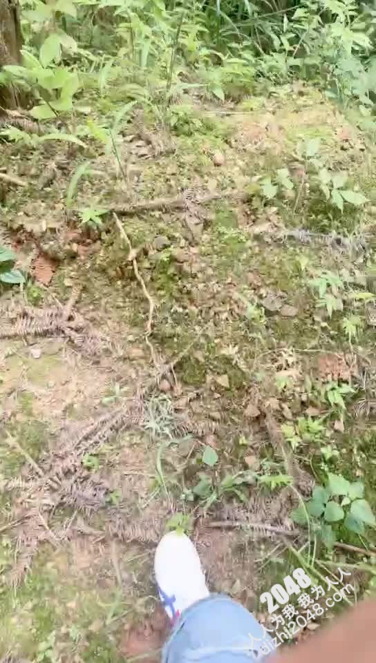 [MP4/ 1.1G] 剧情演绎与嫂子户外艹逼芳草外车内艹逼，狭小的车内肉棒狂艹，战况激烈刺激！