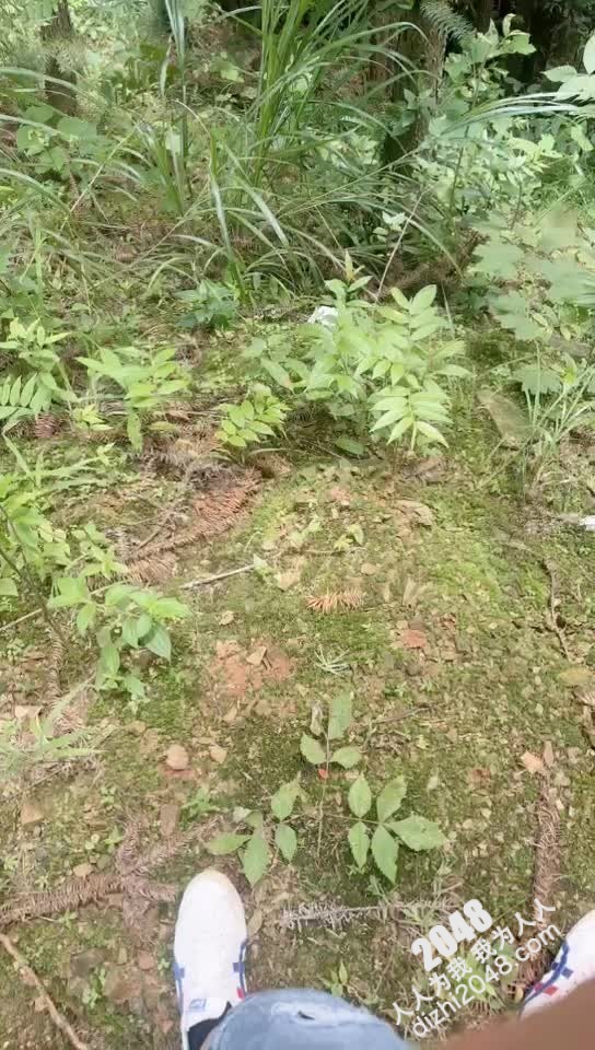 [MP4/ 1.1G] 剧情演绎与嫂子户外艹逼芳草外车内艹逼，狭小的车内肉棒狂艹，战况激烈刺激！